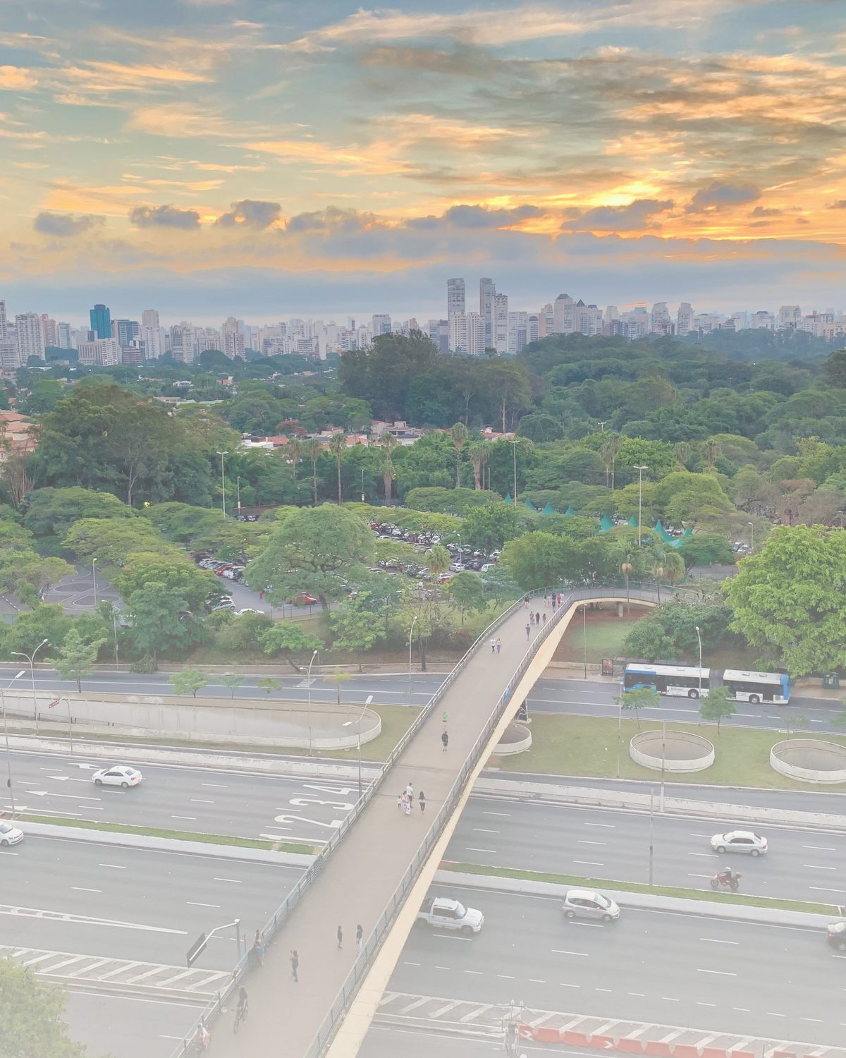 Vista aerea de Sao Paulo com o Parque Ibirapuera ao entardecer